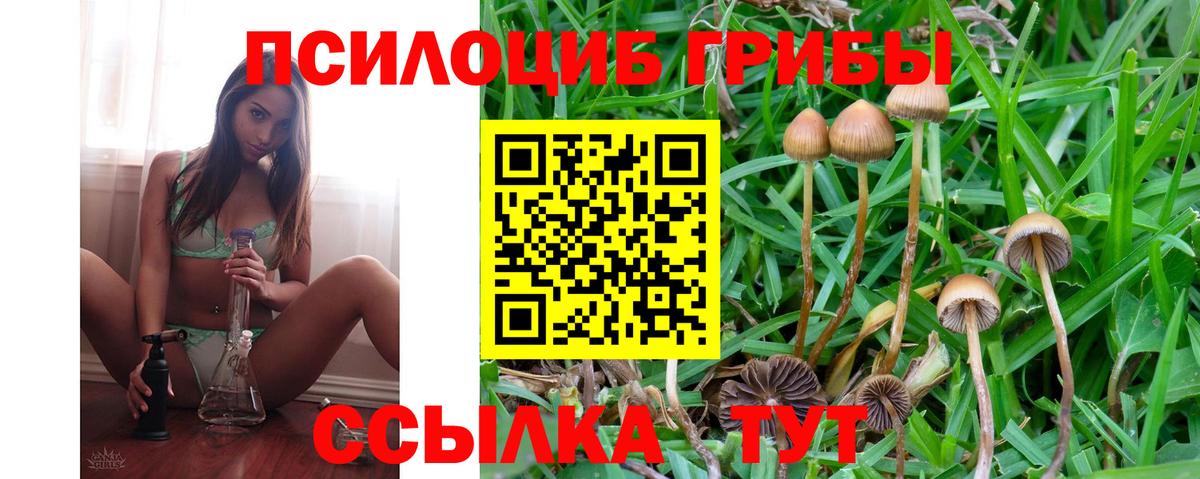 Псилоцибиновые грибы GOLDEN TEACHER  Вход с VPN  Щёкино  Псилоцибиновые грибы ЛСД 